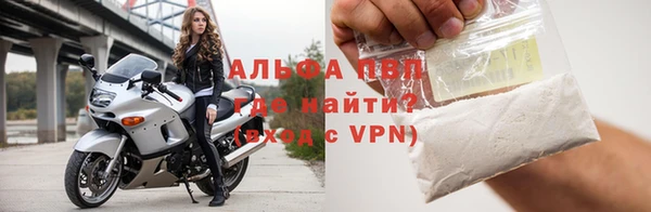 a pvp Новозыбков