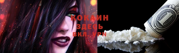 соль ск Новодвинск
