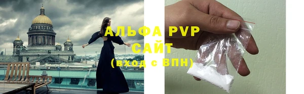 соль ск Новодвинск
