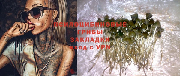 соль ск Новодвинск