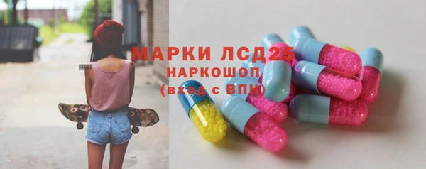 a pvp Новозыбков