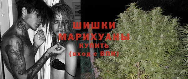 a pvp Новозыбков