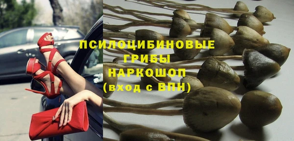 соль ск Новодвинск