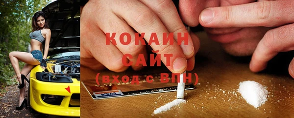 a pvp Новозыбков