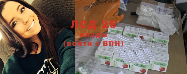 гашик Новокубанск