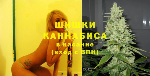 соль ск Новодвинск
