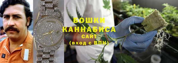 гашик Новокубанск
