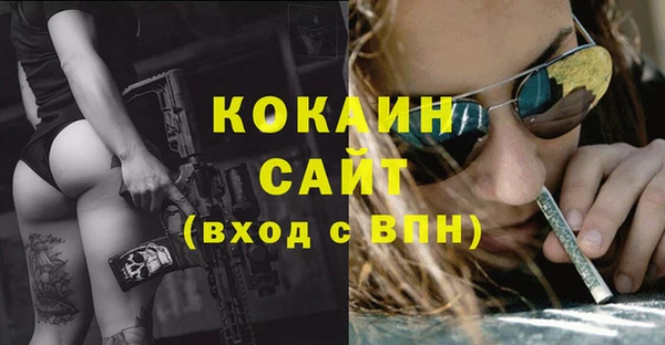 гашик Новокубанск