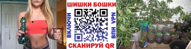 как найти наркотики  Ленинградская  Бошки марихуана VHQ 